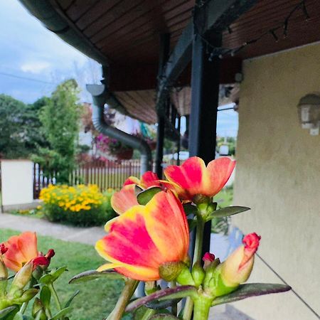 Apartamento Cozy Garden Apartman Gyula Exterior foto