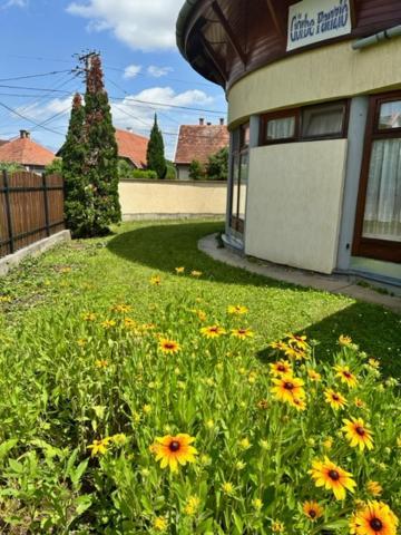 Apartamento Cozy Garden Apartman Gyula Exterior foto