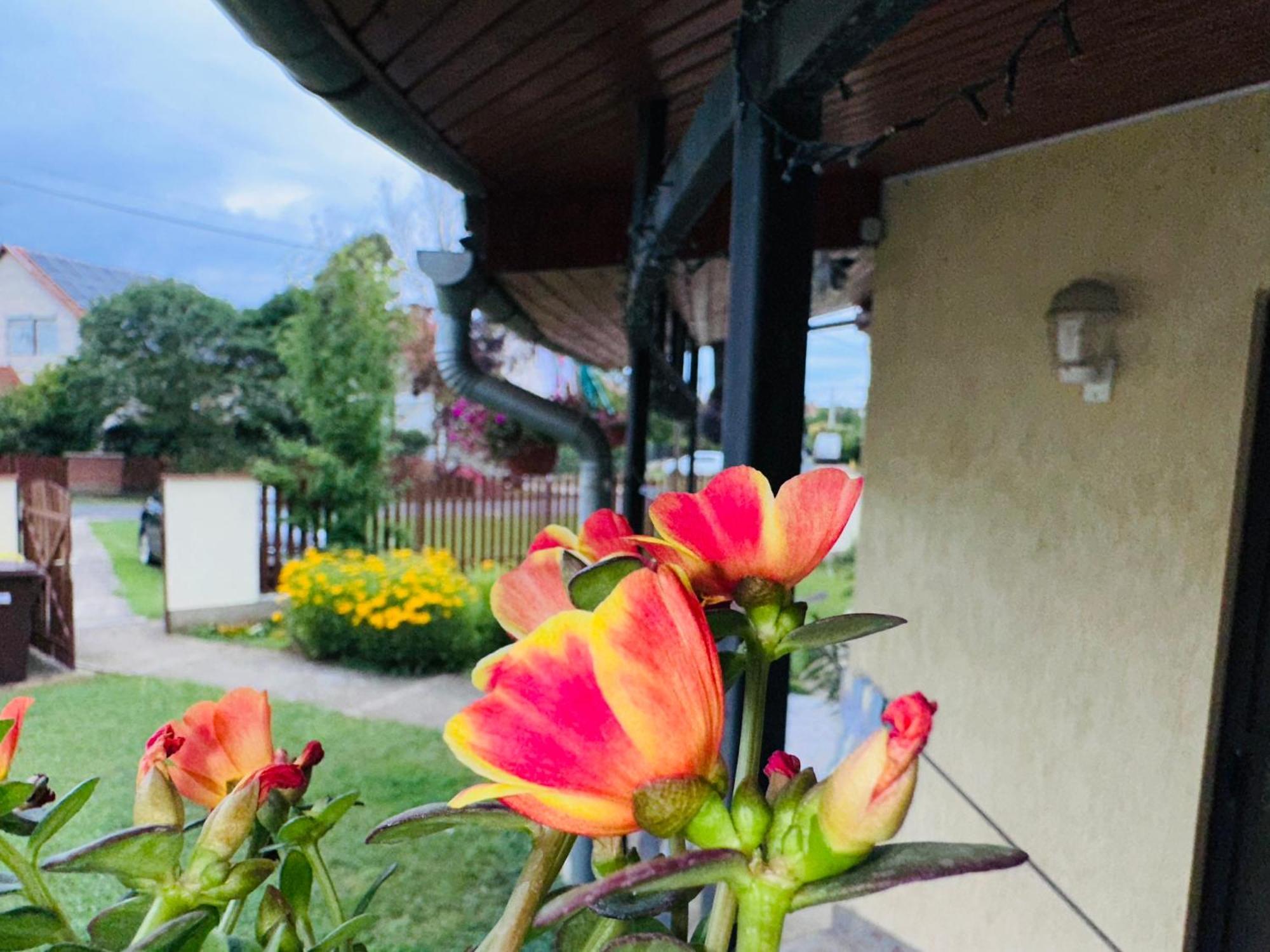Apartamento Cozy Garden Apartman Gyula Exterior foto
